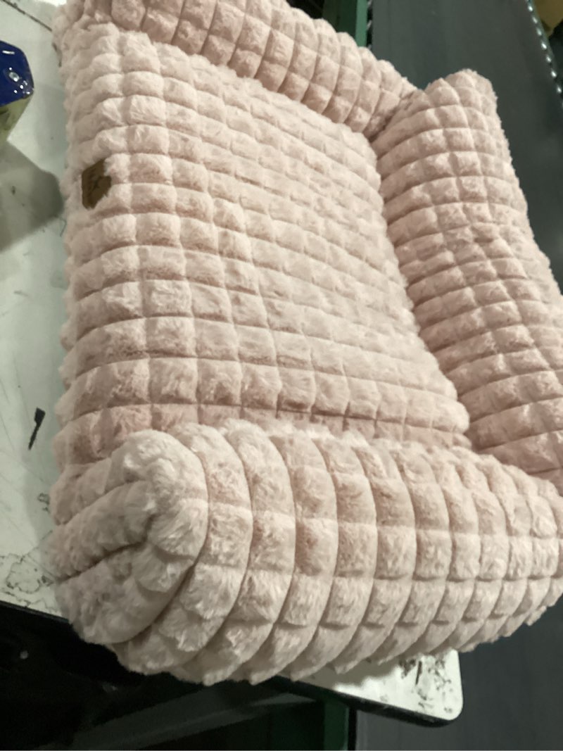dog bed