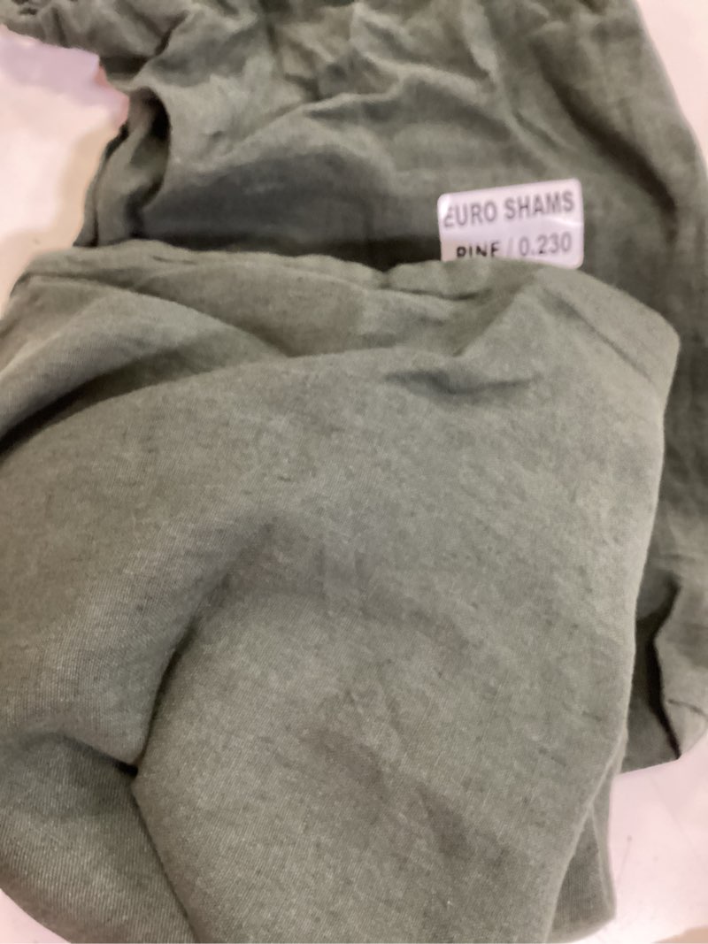 Condition photo showing Good Condition for european linen euro sham size: euro