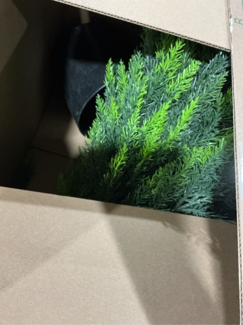 Condition photo showing As Is for hmasyo 4ft artificial cedar topiary trees set of 2, realistic potted fake cypress tree faux pine shrubs plants with uv resistant for indoor outdoor home porch front door garden offices decorations