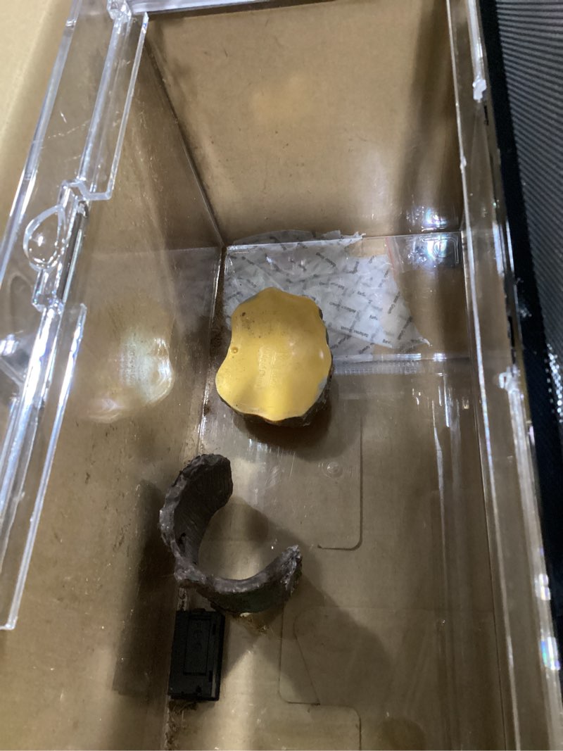 Condition photo showing As Is for helime reptile polycarbonate terrarium kit 7 piece starter habitat for tarantula,lizards,frogs,geckos,or hermit crabs,tank with escape-proof locking lid,light,hygrometer,hide,tweezer,bowl,sprayer l with light l(15.6x8x10in)