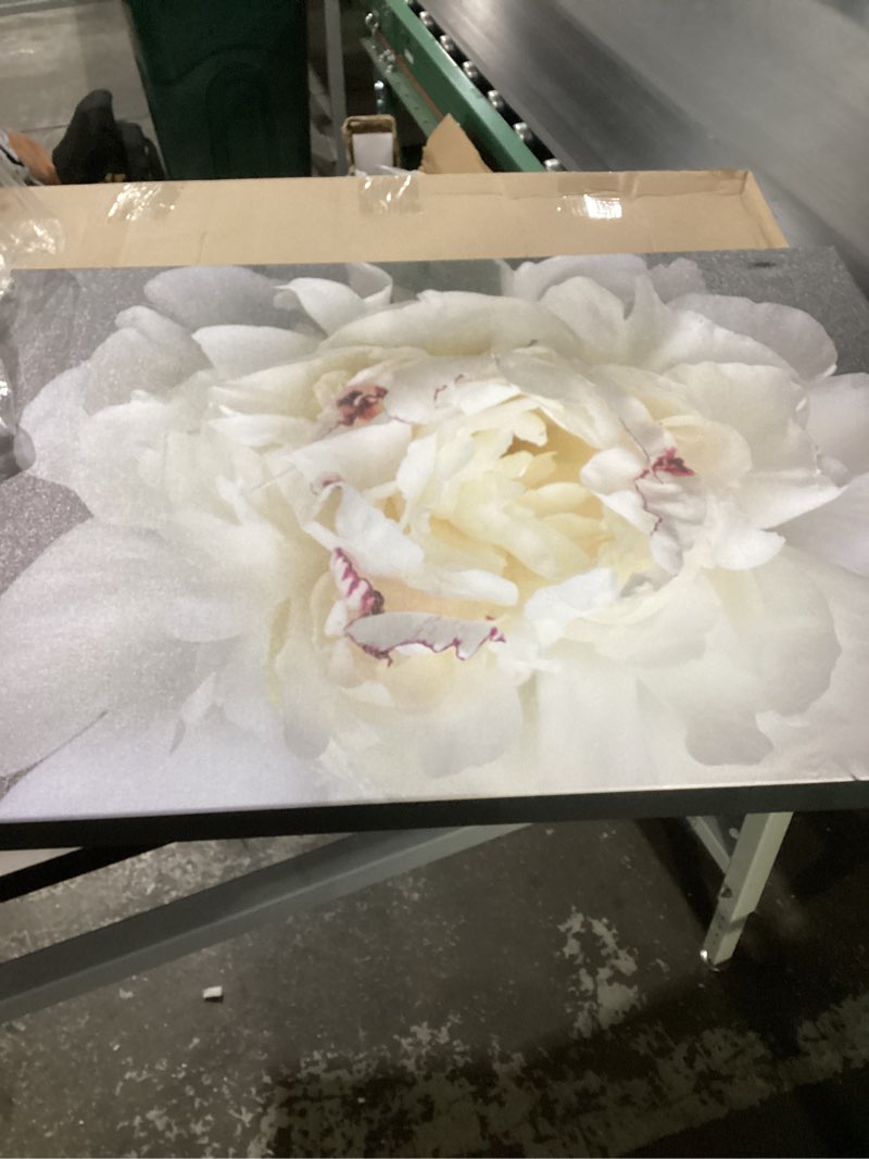 Condition photo showing Good Condition for Flower picture