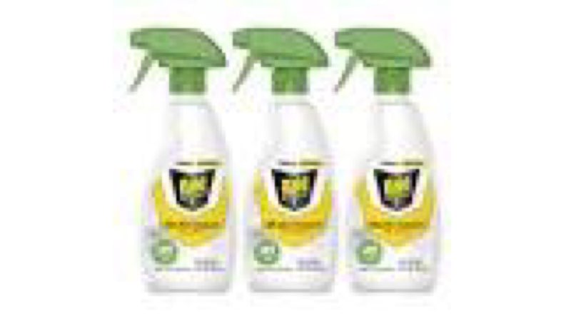 Raid Essentials Multi-Insect Killer 29 Spray with Essential Oils (12 fl oz x 3 ct)