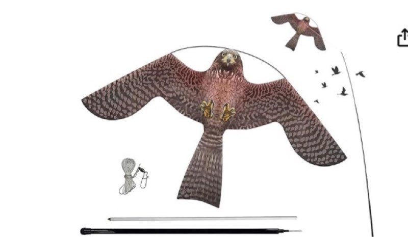 flerigh bird hawk flying kite with pole crops farm protector bird scarer flying kite with 4m pole-style a