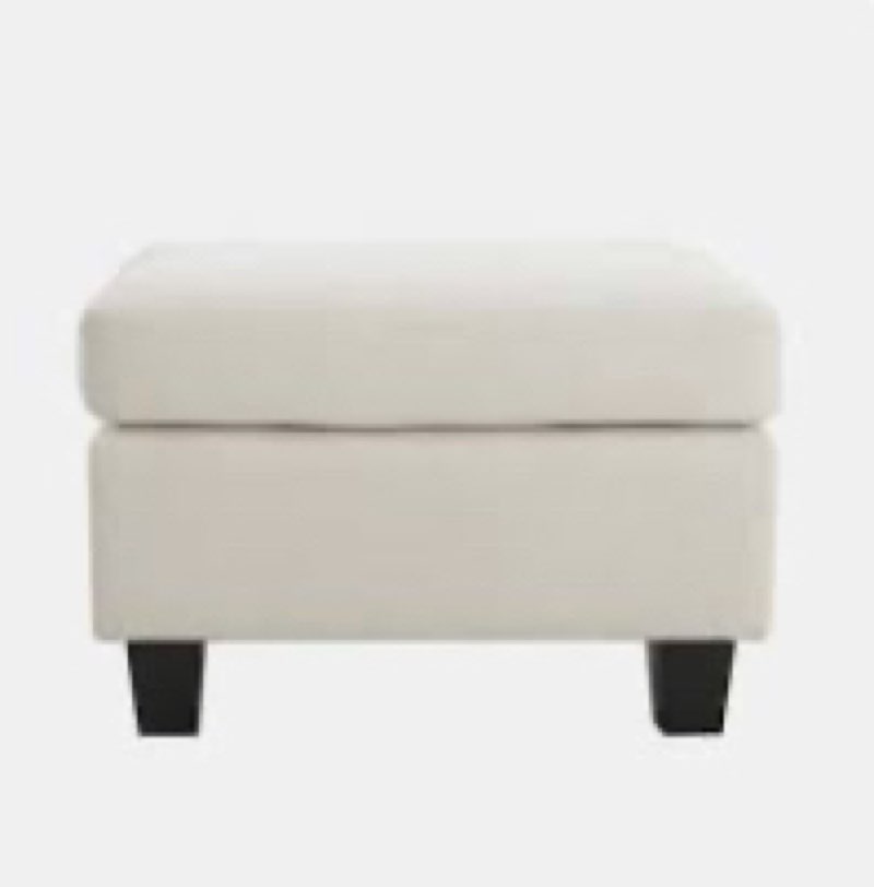 Dhiren 23.6' W Rectangle Upholstered Storage Ottoman