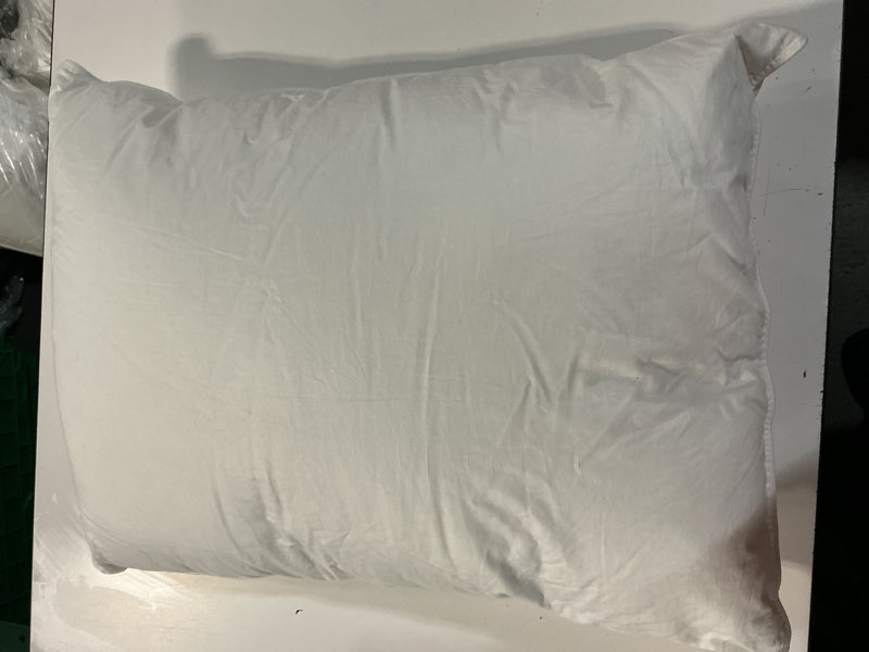 Condition photo showing Good Condition for premium down pillow, standard, medium