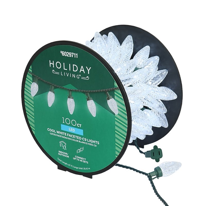 Holiday Living 100-count 66-ft White LED String Christmas Lights