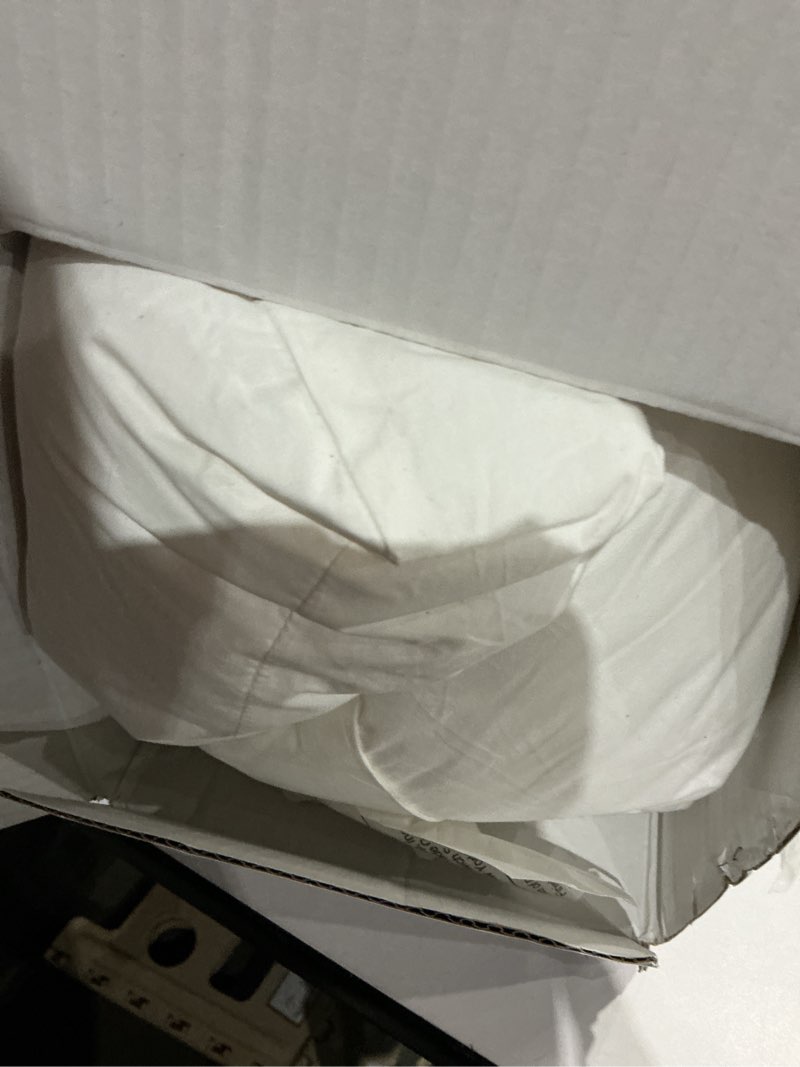 Condition photo showing As Is for casper - essential pillow - white