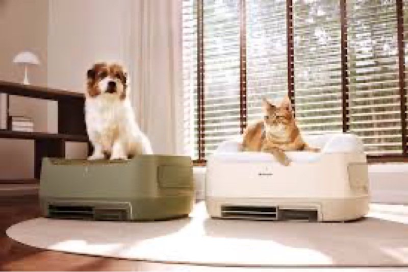 Get That Bid In & Win Your Favorite Items!