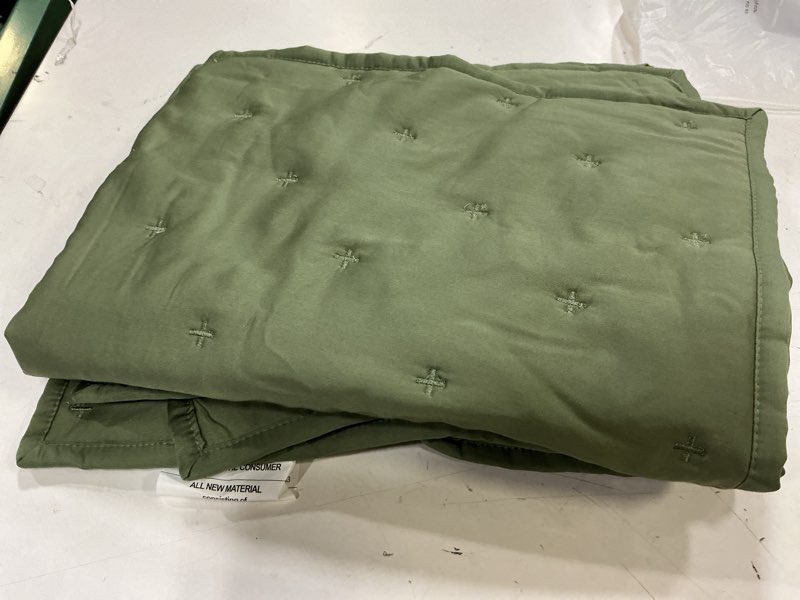 Condition photo showing Good Condition for quince bamboo dream quilted sham set (olive) standard