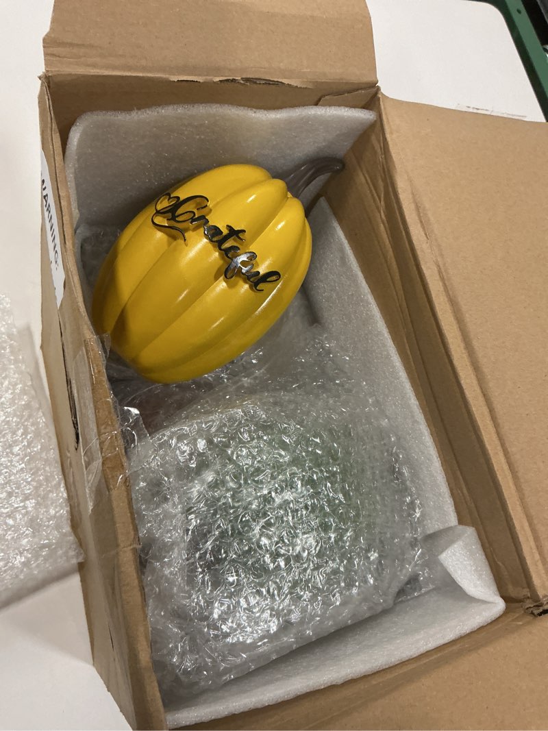 Condition photo showing New/Like New for Roowest 6 Pack Thanksgiving Fall Pumpkin Decor Thanksgiving Decorations for Home Thankful Grateful Blessed Resin Artificial Pumpkins for Decorating Autumn Harvest Table Indoor Home