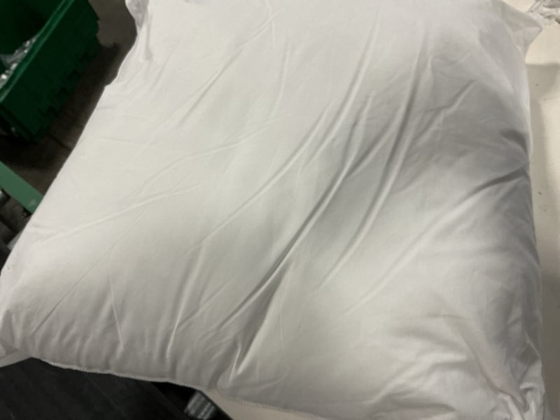 Condition photo showing Good Condition for allerease allergy protection euro size pillow