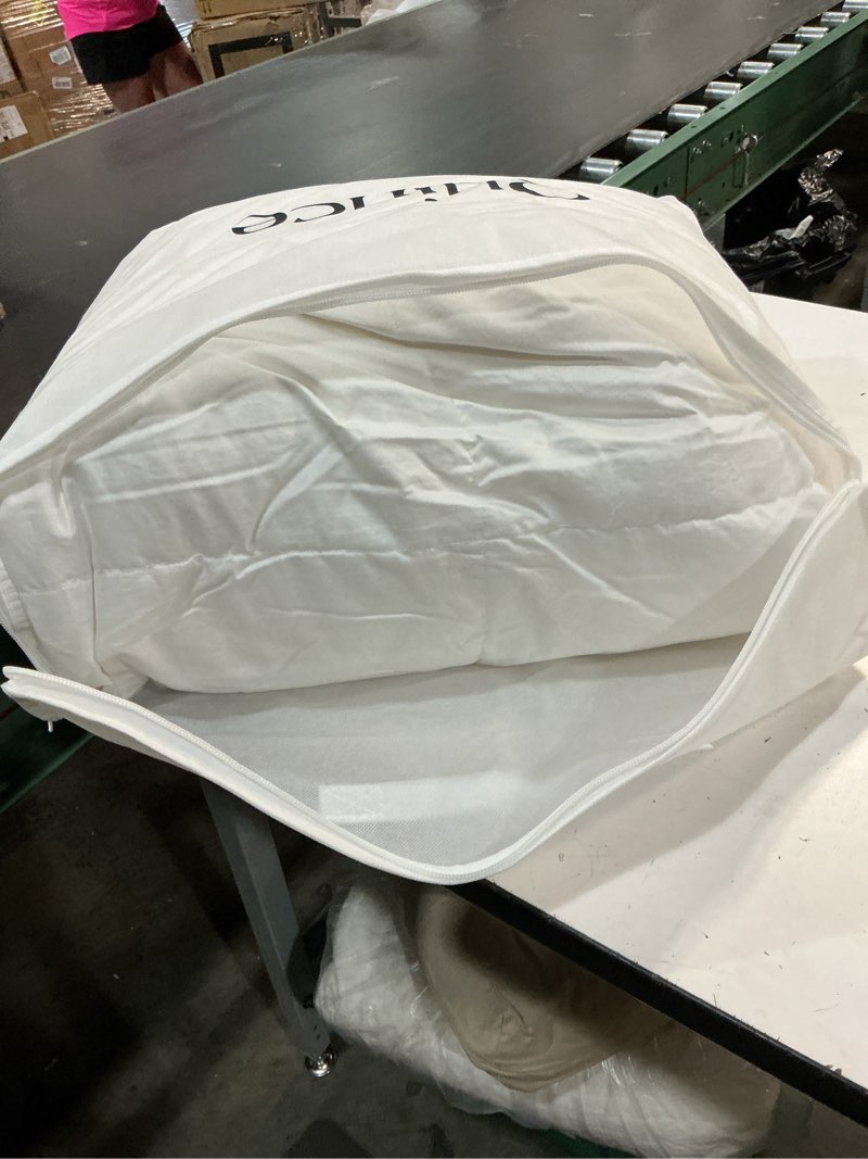 Condition photo showing Good Condition for quince luxe goose down comforter, twin, white