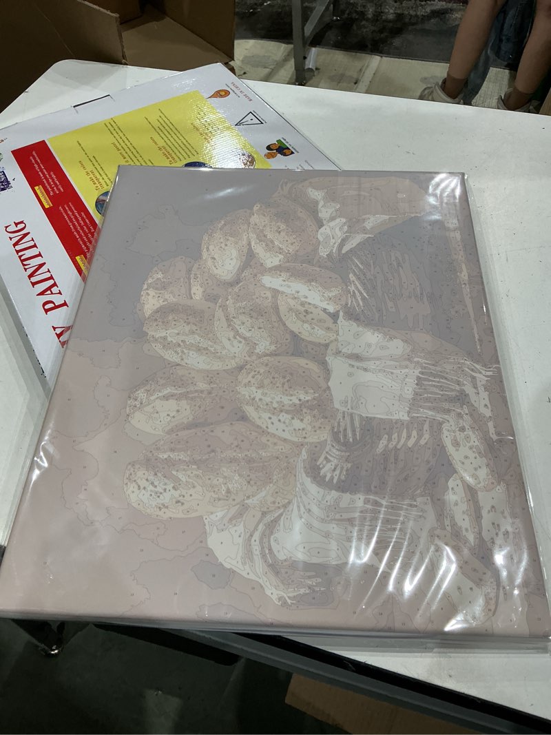 Condition photo showing New/Like New for food still life paint by numbers kit for adults - diy basket of fresh bread rolls painting on canvas 16x20in, acrylic paint set for beginners, art for home decoration or gifts(16x20in framed)