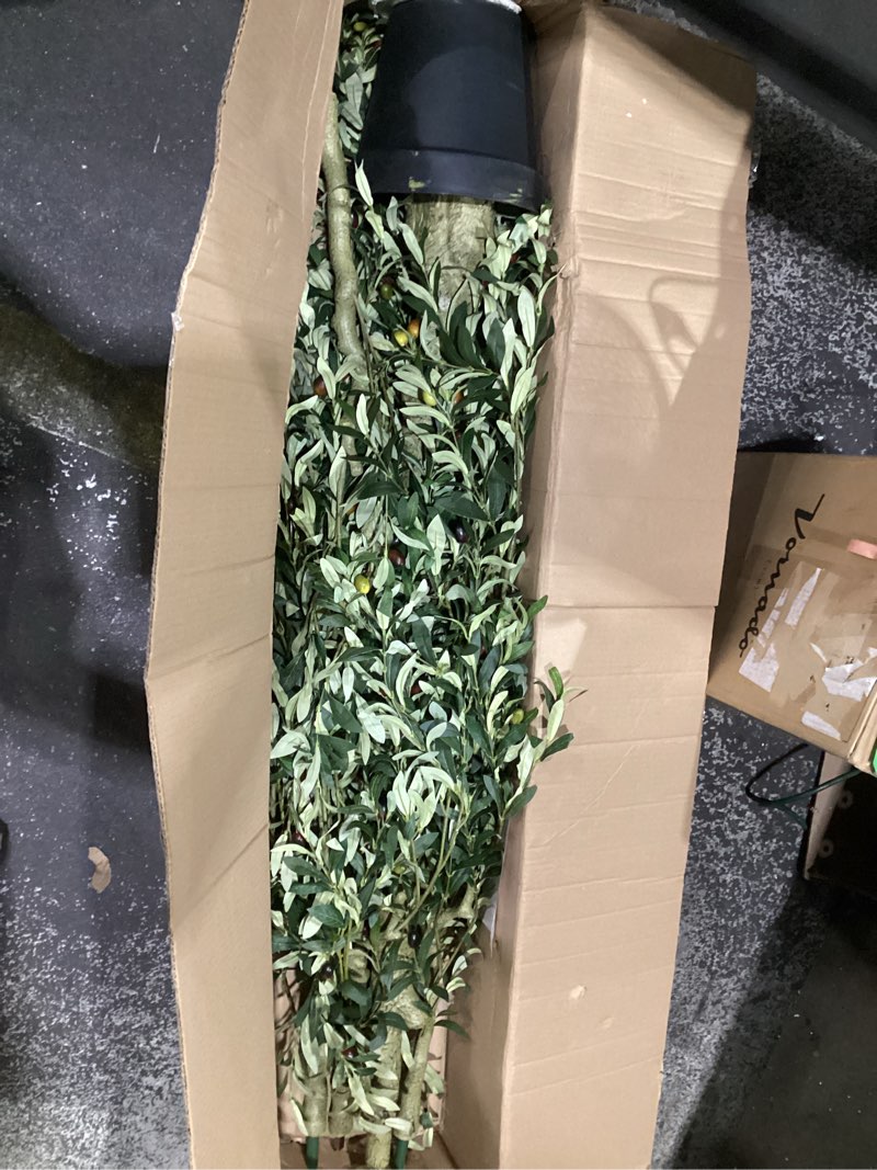 Condition photo showing Good Condition for (similar to stock photos)premium artificial olive tree 10 f