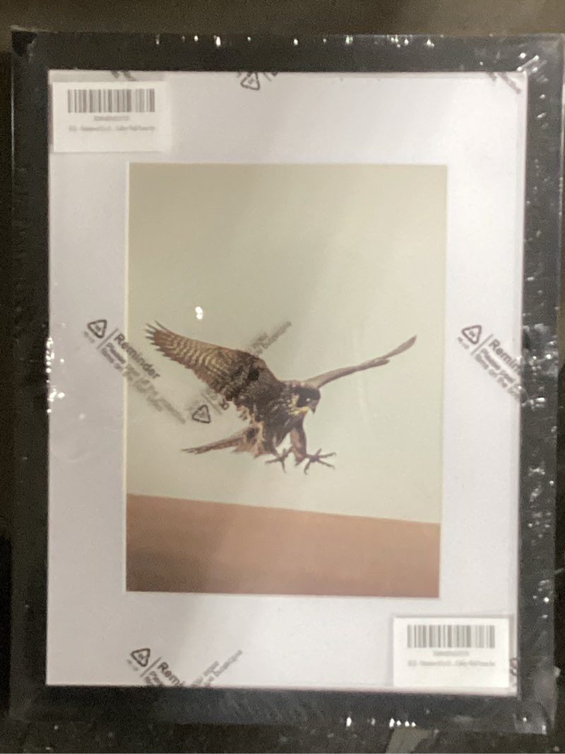 Condition photo showing As Is for Heimlove 8.5 x 11 Picture Frames Set of 5 with Mat to Display 6x8 Picture,Plastic Black Photo Frame for Poster,Diploma,Certificate and Document with Gallery Wall Frame Set PVC frame|8.5x11 5 Pack(Black)