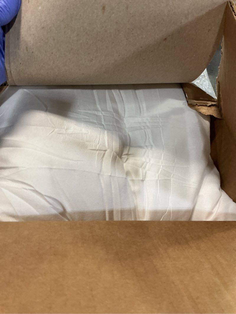 Condition photo showing As Is for EDOW Throw Pillow Inserts, Set of 2 Lightweight Down Alternative Polyester Pillow, Couch Cushion, Sham Stuffer, Machine Washable. (White, 18x18)