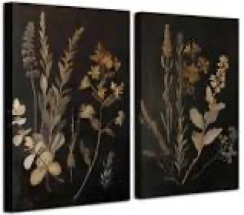 2Pcs Dark Botanical Canvas Wall Art Vintage Floral Wall Decor Pictures Dark Academia Moody Flowers A