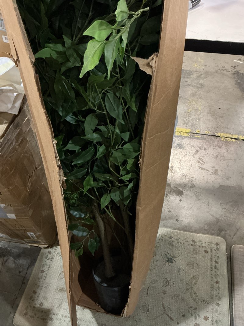 Condition photo showing Good Condition for Artificial Ficus Tree, 7ft Silk Fake Ficus Leaves Plant with Basket, Indoor Outdoor Faux Green Tree for Home Garden Office House Livingroom Décor Ficus 7ft