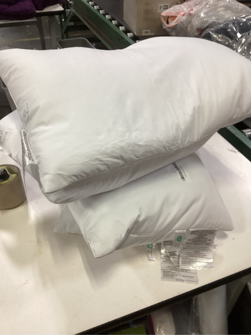 Condition photo showing Good Condition for puredown® Feather Down Filled 14x22 Pillow Inserts, Lumbar Pillow Inserts for Decorative Throw Pillow, Bed, Couch and Home Decor
