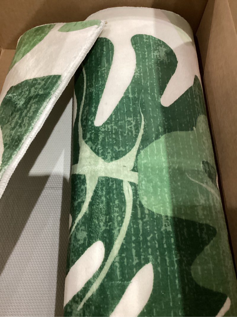 Condition photo showing Good Condition for Lukinbox Bathroom Runner Rugs, Green Leaf Non-Slip Bath Mat, Small Long Bath Rugs Cute Soft Microfiber Floor Mats Machine Washable for Living Room, Shower and Tub, 18"x47" 18" x 47" Green
