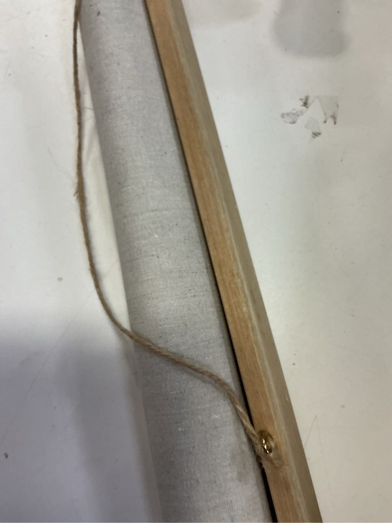 Condition photo showing Good Condition for XIAOAIKA Vintage Mushroom Poster with Wooden Frame - Classic Botanical Print with Variety of Fungi Species - Retro Style Wall Art Decor for Kitchen, Living Room, Classroom 20 x 30 Inches 1-Pack Mushroom 30"L x 20"W