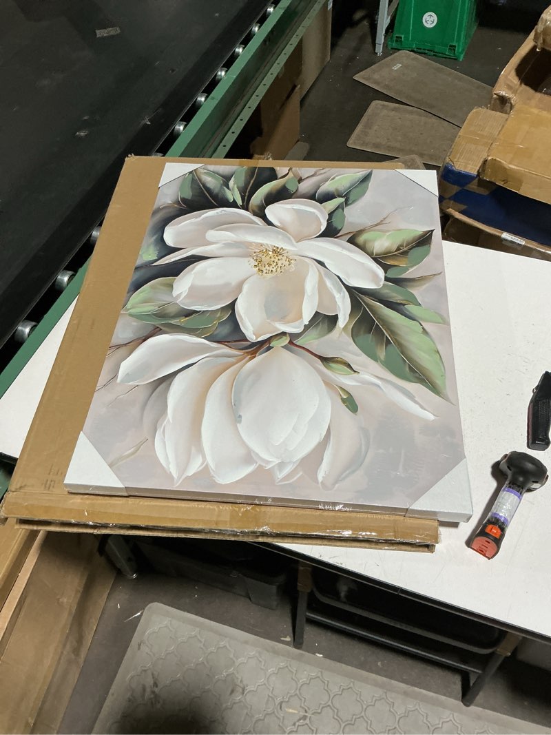 Condition photo showing Good Condition for white magnolia flowers poster wall art, modern wall decor for living room bedroom, 8x12 unframed