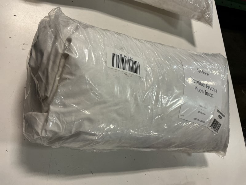Condition photo showing As Is for premium feather pillow insert size 20x20