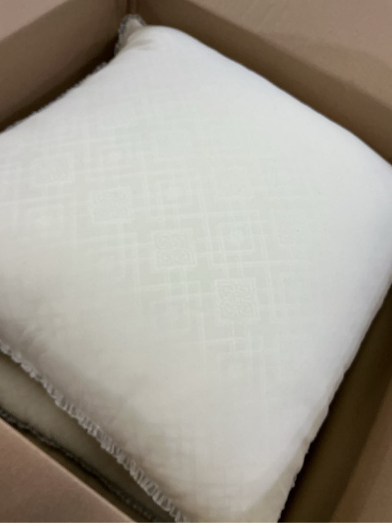 Condition photo showing Good Condition for 18 x 18 throw pillow inserts - soft and plush, virgin fiber filling, decorative pillows for couch sofa bed, machine washable - white, pack of 2 2 18x18 inch (pack of 2)