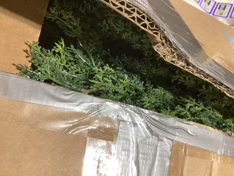 Condition photo showing Good Condition for the bloom times artificial topiary cedar trees outdoor 6ft tall 2 set, realistic faux pine cypress shrubs bushes, uv resistant large fake evergreen plants for front porch outside planter decor 6 foot 6 foot yellow green