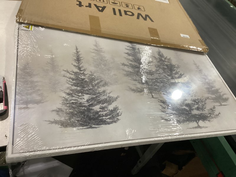 Condition photo showing New/Like New for framed black and white forest landscape wall art, modern minimalist pine tree canvas art prints, contemporary nature pictures wall decor for living room bedroom dining room hallway office 24x36 in 36"l x 24"w black and white pine tree
