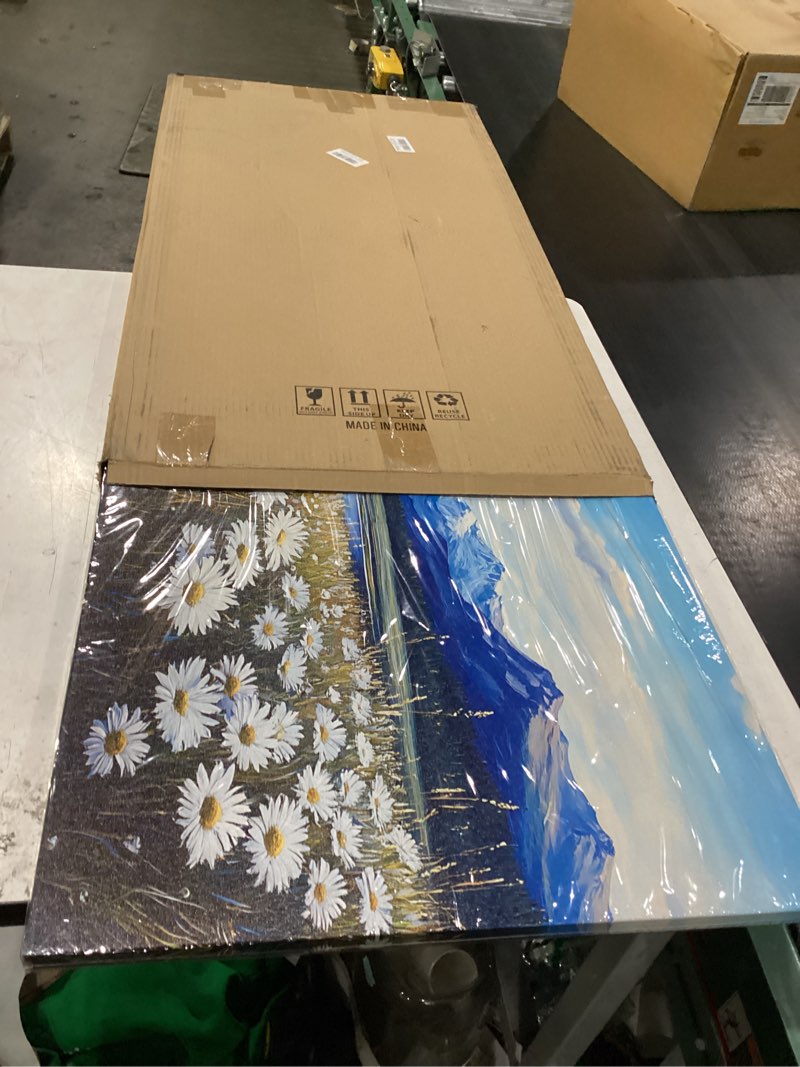 Condition photo showing New/Like New for ruifengl flower canvas wall art prints nature scenery for home office decor | flower wall art mountain lake landscape painting artwork pictures for living room bedroom bathroom wall decoration 20"x40" white flowers distant mountains 40"l x 20"w