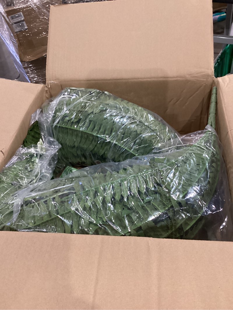 Condition photo showing Good Condition for livole 2 pcs 48" large fake ferns with spider plant, artificial ferns for outdoors large faux boston fern with 110 branches realistic uv resistant for planter indoor home garden porch hanging decor 48"-110 branches-2 pcs