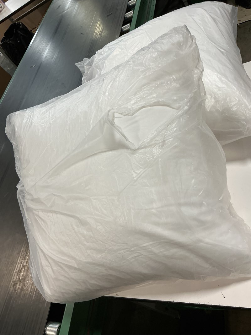 Condition photo showing Good Condition for leeden 20 x 20 pillow inserts (set of 2) - throw pillow inserts with 100% cotton cover - 20 inch square decorative pillows for sofa, couch, bed and home decor 20 inch x 20 inch (pack of 2)