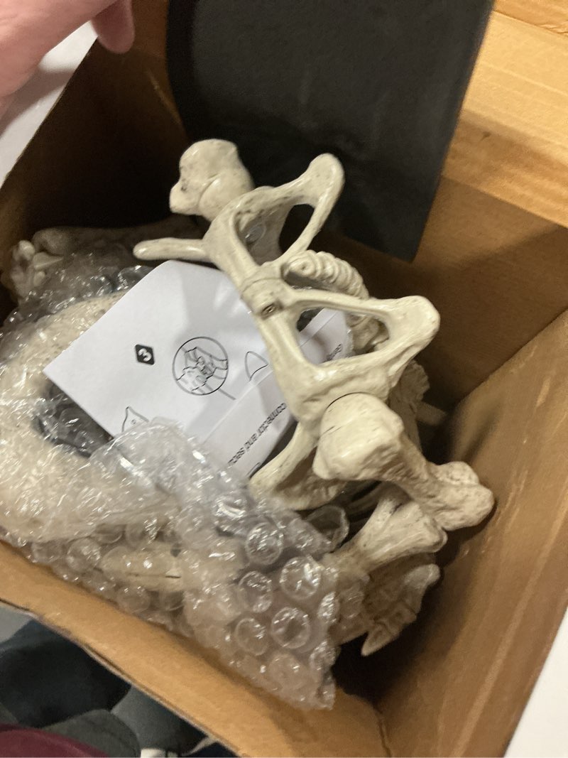 Condition photo showing Good Condition for JOYIN 16” Posable Puppy Skeleton Halloween Decorations Realistic Plastic Dog Animal Bones with Movable Joints for Halloween Indoor Outdoor Decor Spooky Scene Party Favors Graveyard Decor