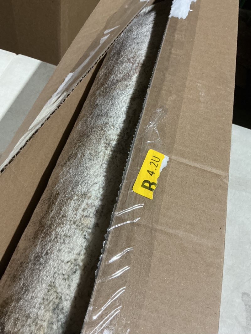 Condition photo showing As Is for Rifle Paper Co. x Loloi Courtyard Collection COU-01 Yellow / Multi 2'-3" x 3'-9" Accent Rug feat. CloudPile