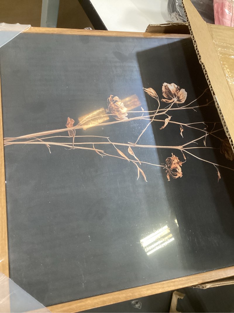 Condition photo showing New/Like New for Vintage Framed Botanical Canvas Wall Art Set 3 Piece, Dark Background 12x16 Minimalist Floral Prints, Moody Neutral Black Gold Modern Flower Artwork, Rustic Living Room Bedroom Office Decor Forever Framed 12"x16"x3
