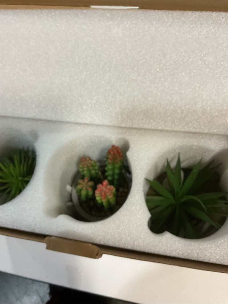 Condition photo showing New/Like New for Zerzsy Artificial Succulent Set, Succulents Plants Artificial, Fake Mini Plants in Pots, Faux Plants Kitchen Shelf Desk Decor, Small Bathroom Decor for Shelves (3 PCS Set/B) 3 Pcs Set/a