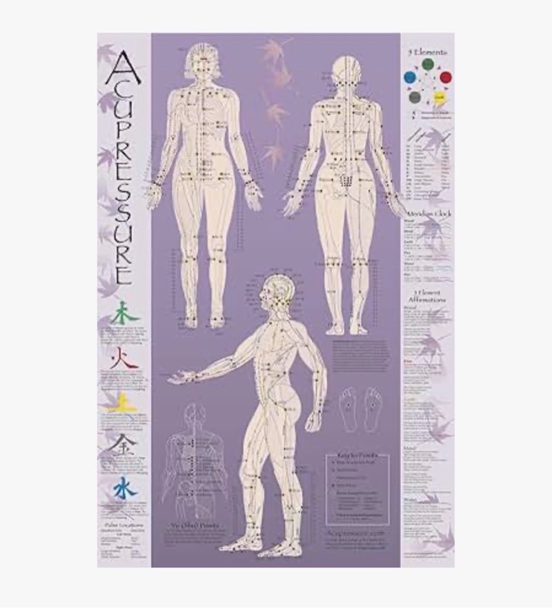 Acupressure Chart - Points & Meridians