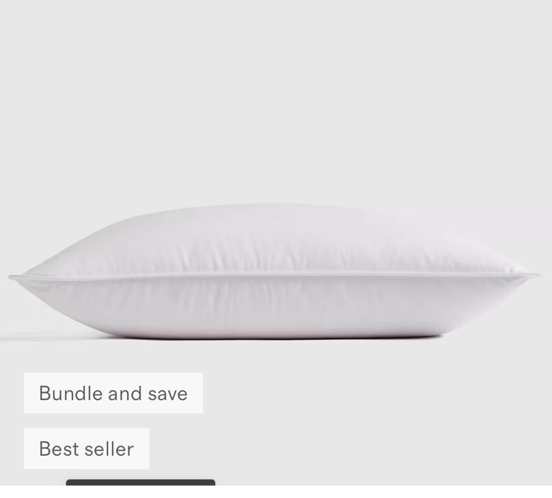 Luxe Goose Down Pillow Standard Soft/ medium