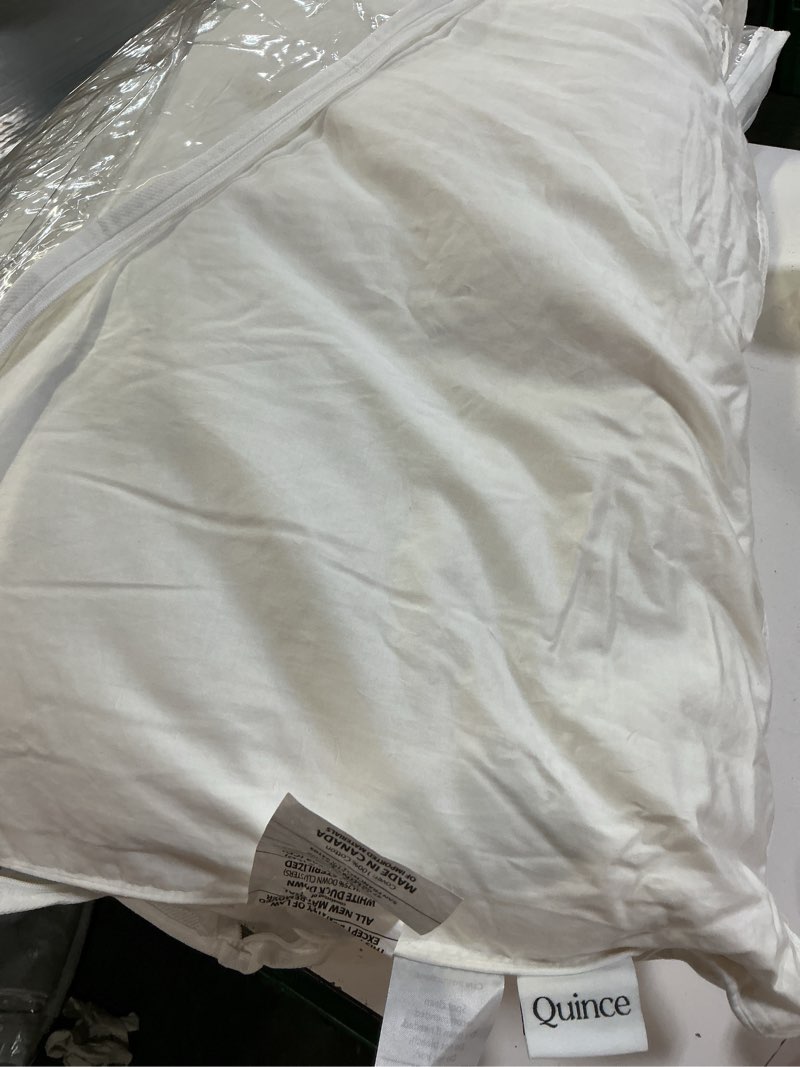 Condition photo showing Good Condition for premium down pillow, soft, king