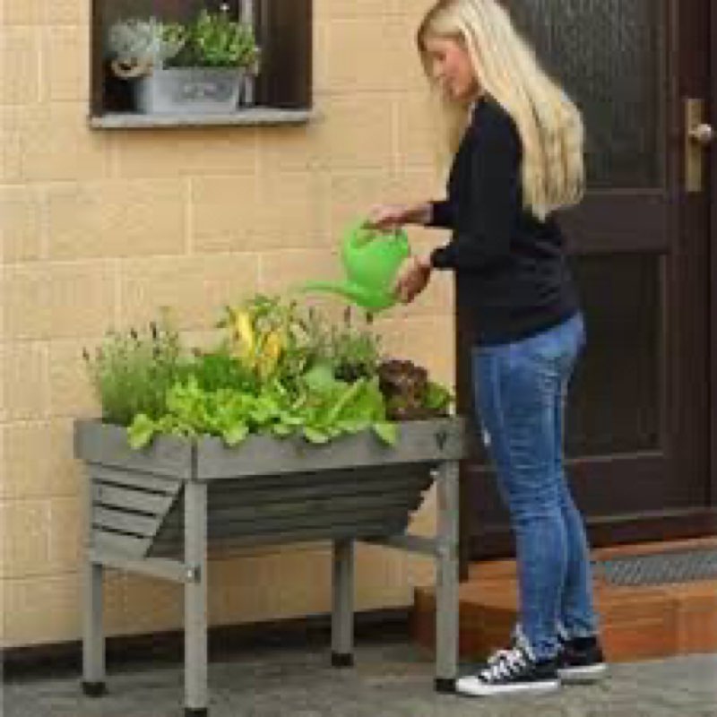 VegTrug Mini Wall Hugger - Grey Wash (FSC 100%)