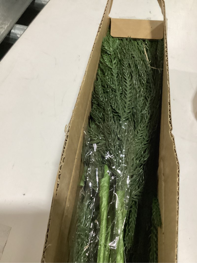 Condition photo showing As Is for Zamihalaa 20-30CM/30g Real Dried Natural Fresh Forever Branches,Decorative Club Moss Bouquet,Dry Preserved Eternal Grass,Home 01