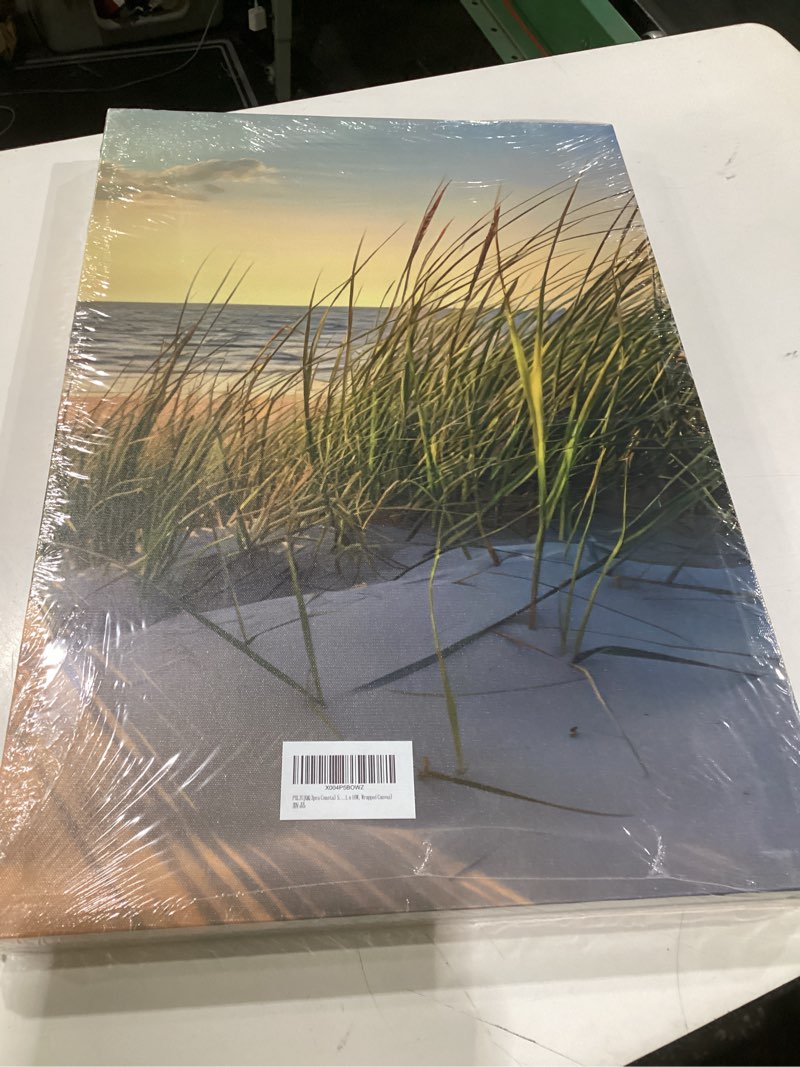 Condition photo showing New/Like New for 3pcs blue beach scenery canvas wall art coastal ocean landscape poster print sunshine beachy grass sunset picture modern seaside artwork painting wall decor for living room bedroom 16x24in framed canvas 24l" x 16w"