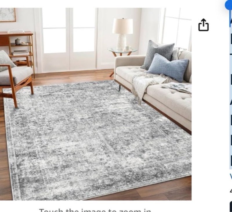 Area Rug 4x6 Washable Rug Gray Vintage Traditional Floor Cover Foldable Thin Retro Accent Indoor Distressed Non Slip Carpet Floral Print Mat Bedroom Living Room Bathroom(similar)