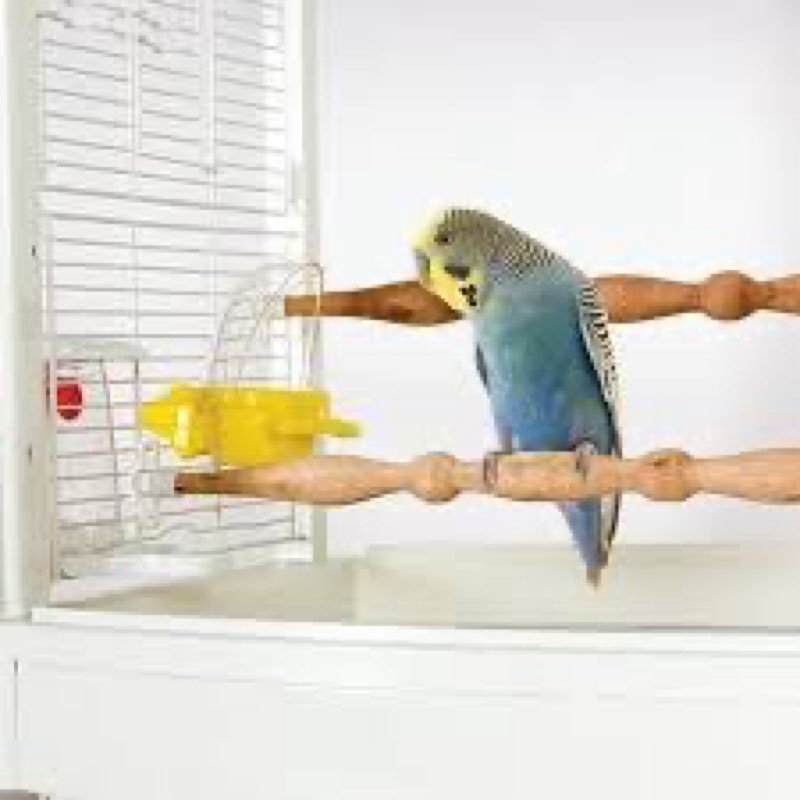 Feather land mess less sm hooded feeder