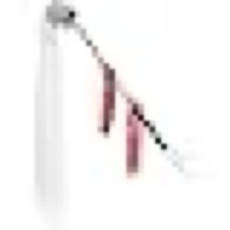 Horsetail Whisk Stick Unique Drill Bright for Wudang Martial Arts Supplies with Fujiki Handle Great for Enthusiasts Performers