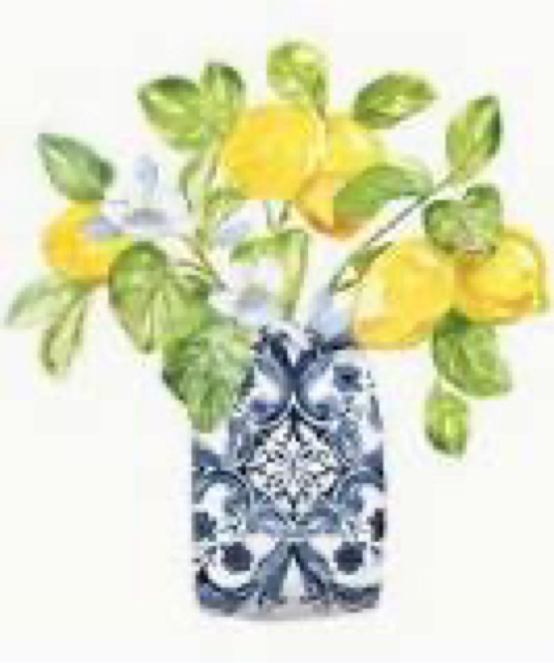 Lemons with flower buds framed giclee art by nan