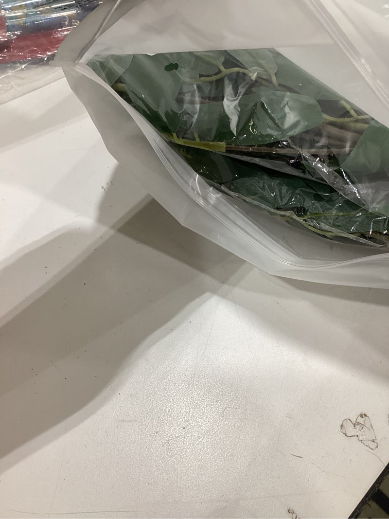 Condition photo showing Good Condition for RECUTMS Artificial Willow Leaves Vine Twigs 2Pcs 5.7Ft Fake Hanging Ivy Plants Silk Green Leaf Rattan Garland Greenery Decor for Indoor Outdoor Home Wedding Arch Jungle Beach Birthday Party Garden Willow Vines Green 2pcs