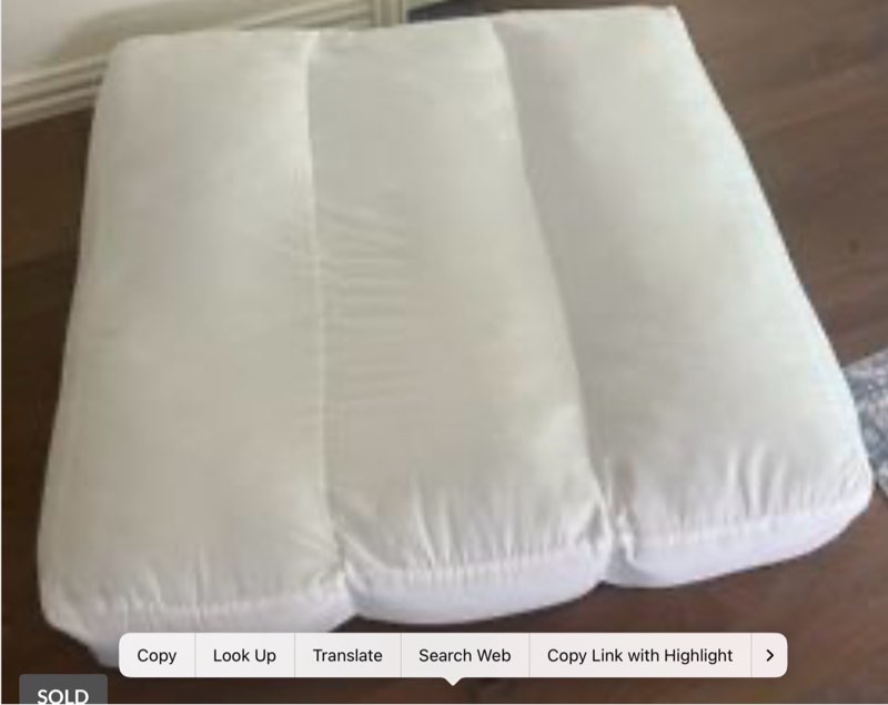 images Crate and Barrel Teepee Cushion Insert -New