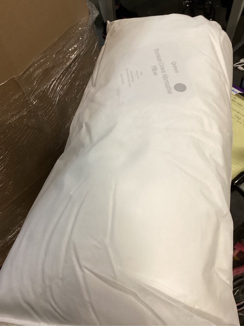 Condition photo showing New/Like New for quince premium down pillow, king